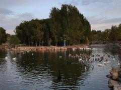 -鄂尔多斯野生动物园