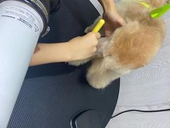 -宠颐生动物医院·小陆分院