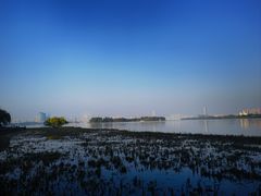 -长广溪湿地公园