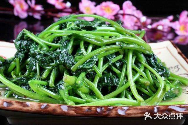 竹缘居渔庄