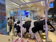 -红星前进面包牛奶公司(君太店)