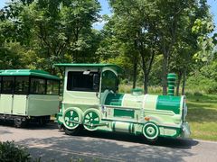 -江苏三台山国家森林公园