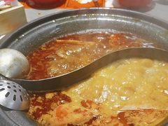 -生活如沸·顺德水牛奶火锅(大学路店)