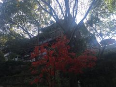 -三游洞
