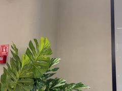 -必胜客(阿罗海店)