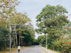 -福田红树林生态公园