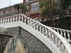 -香港大学