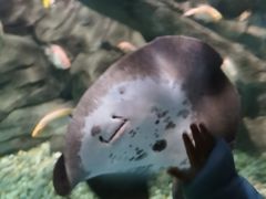 -苏州海洋馆