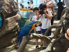 -成都浩海立方海洋公园