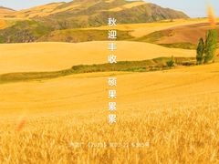 -上海嘉宁·心理咨询中心