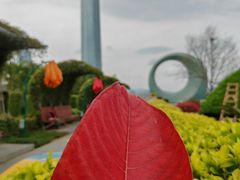 -厦门园林博览苑