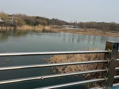 -贡湖湾湿地公园