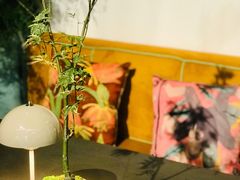 -PlantsEatery·植物食堂(REX春熙店)