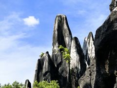 -玉石林风景区