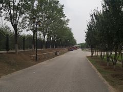 -永定河休闲森林公园