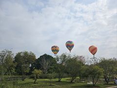 -中国科学院西双版纳热带植物园