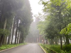 -武陵山森林公园