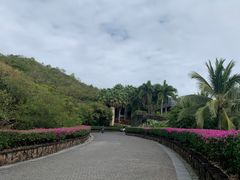 -日落吧·海景咖啡厅·餐酒吧·鸡尾酒·下午茶·乐队表演·浪漫夕阳·三亚文华东方酒店