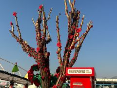 -吉姆冒险世界(蓟州店)