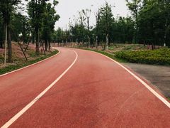 -白鹭湾湿地公园