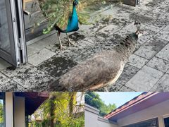 -广州从化都喜泰丽度假酒店温泉