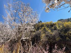 -潭溪山