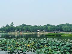-素心小筑(后沙裕镇店)