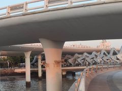 -演武大桥观景平台