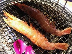 阿根廷大红虾-原始泥炉烤肉(总店)