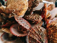 -抹直口特色菜馆(一店)