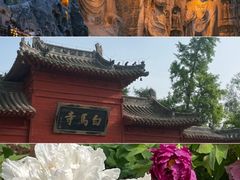 -清真·马坡烧烤涮牛肚·酸浆火锅(新区总店)