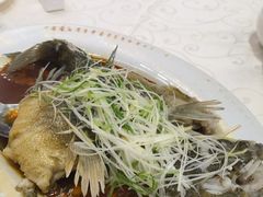-凤城礼记鱼翅海鲜酒家(新马路总店)
