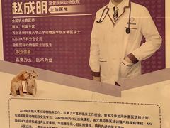 -宠爱国际动物医院·消化内科·心肾内科·ISFM猫友好(望京店)