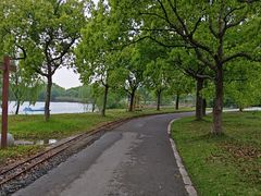 -上海都市菜园