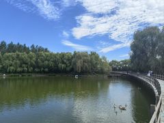 -沈阳鸟岛