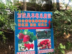 -1982农场