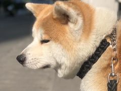-YCHL Studios健身工作室(市二宫店)