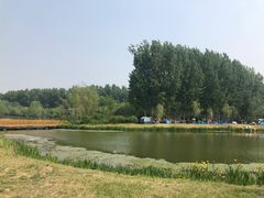 -东郊湿地公园