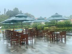 景观位-厦门悦华酒店·绿庭主题自助餐厅