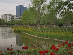 -西海子公园