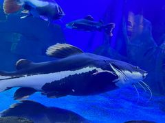 -多彩贵州城极地海洋世界