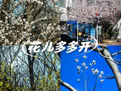 -南山健身公园