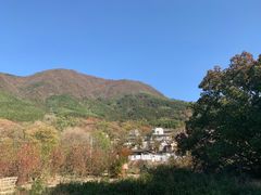 -塔川景区