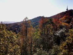 -岳麓山风景名胜区