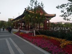 -西海子公园