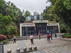 -云碧峰国家森林公园