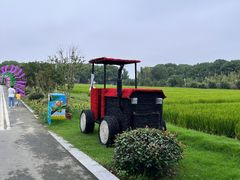 -苏州太湖西山岛开心农场