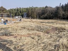 -宜兴龙背山森林公园