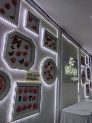 -苗方清颜专业祛痘