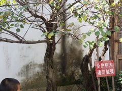 -福建民俗博物馆